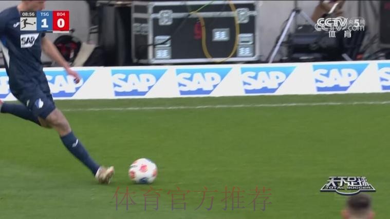 布格尔进球 霍芬海姆战胜勒沃库森
